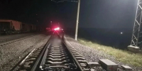 В Заринском районе поезд сбил мужчину - Комсомольская Правда