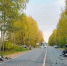 На Производственной произошла смертельная авария - погиб водитель мотоцикла. - Chepetsk.ru
