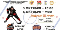 Все на хоккей! - Гайский городской округ