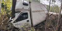 Под Томском водитель прицепа с лощадьми потерял управление и врезался в дерево - Комсомольская Правда
