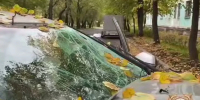 Под Красноярском отца с двумя детьми сбили на пешеходном переходе - Комсомольская Правда