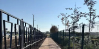 В селе Бакалы завершили обустройство тротуара - Бакалинский район