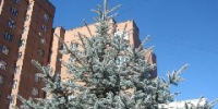 К концу недели в Кузбассе немного потеплеет - ИА Город Новостей