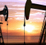 Аргентина призвала Британию прекратить добычу нефти у Фолклендских островов - M24.Ru