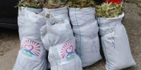 Из Урупского района на передовую отправили очередной гуманитарный груз - Газета День республики