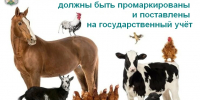 уу.jpg - Киренский район