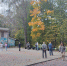 🎯 В городском парке открыли площадку для городков и петанка - Выкса.РФ