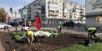 Этой осенью в Ульяновске посадят 38 тысяч луковиц тюльпанов - Ulyanovsk.Express