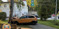 В Светлогорске автомобиль на полном ходу протаранил людный сквер - ИА Русский Запад