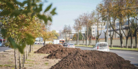 15 000 «квадратов» газона восстановили в Автозаводском районе Нижнего Новгорода - Сетевое издание Живем в Нижнем