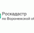 Региональный Роскадастр предоставляет льготы участникам СВО и их семьям. - Петропавловский муниципальный район
