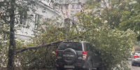 Во время ливня в Ставрополе дерево упало на припаркованный внедорожник - Bloknot-Stavropol.Ru