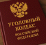 Ярославну уличили в сокрытии следов убийства и помощи преступнику - Ярославский регион