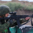 Российские военные освободили Весёлое Поле в ДНР и Крейдянку в Харьковской области - Говорит Москва
