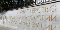 Следить за оборотом древесины станут с помощью видеокамер - Министерство лесного хозяйства