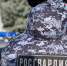 Более 220 раз за прошедшую неделю росгвардейцы в Воронежской области выезжали по сигналу «Тревога» - Росгвардия