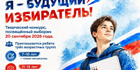 Жителей Ленобласти приглашают к участию в конкурсах об избирательном праве - Online47.Ru