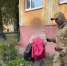 Северянку задержали, а потом арестовали | Источник: РУФСБ по Архангельской области, СУ СК РФ по Архангельской области и НАО - 29.Ru
