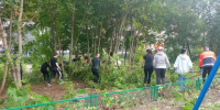 В осенней приборке Кирова собрали более 10 тонн мусора - ГТРК Вятка