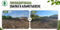 В Альметьевске ликвидирована свалка площадью более 1000 кв. м - Министерство экологии