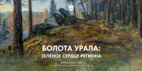 Баннер-Болота.jpg - Музей-заповедник
