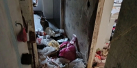 Трое детей от 2 до 11 лет несколько дней были одни в квартире в Вологде - Газета Маяк