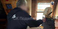 Убивший топором мать житель Подмосковья осужден на 13 лет - M24.Ru