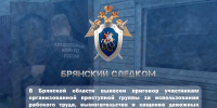 В Брянской области вынесен приговор участникам организованной преступной группы за использование рабского труда, вымогательство и хищение денежных средств - Следственный комитет