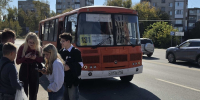 Напоминание от Ситикарда - Tvoy-Bor.Ru