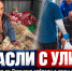 Бездомного из Луганска забрали с улицы в Ростове и положили в больницу - Bloknot-Rostov.Ru