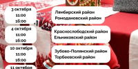 Когда начнется фестиваль-конкурс «Шумбрат, Мордовия!» в этом году? - Столица С