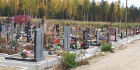 Ради красивой фотосессии женщина украла с могилы 96 роз - Gubdaily.Ru