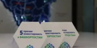 В Башкирии реализуются три инвестпроекта на 300 млн рублей - Башинформ