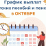 Отделение СФР по Пензенской области опубликовало график выплаты пенсий и пособий в октябре 2026 года - Сосновоборский район