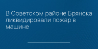 В Советском районе Брянска ликвидировали пожар в машине - Сетевое издание Новости Брянска