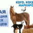 Информация владельцам личных подсобных хозяйств об  обязанности по маркированию и учету животных - Судиславский муниципальный округ