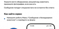 Увидели бездомное животное? Теперь о нем можно сообщить на Госуслугах за 2 минуты - Администрация г. Елец