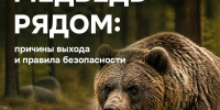 Внимание! Правила поведения при выходе диких животных на территорию населённых пунктов - Администрация МР