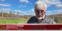 Видео - ТВН