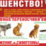 Об угрозе распространения бешенства - Администрация района