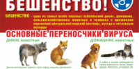 Об угрозе распространения бешенства - Администрация района