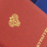 Вологда-поиск - Вологда-поиск