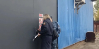Овощную базу в Брагино закрыли из-за антисанитарии и мух - YarNews.Ru