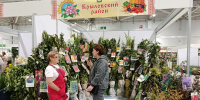 Елена Павлюк рассказывает о своей продукции. - Газета Авангард