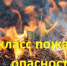 Оказался в лесу - бережней будь! - Администрация Гавриловского района
