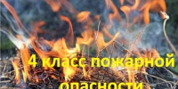 Оказался в лесу - бережней будь! - Администрация Гавриловского района