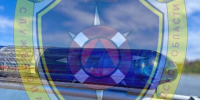 Семейная пара с питомцами оказалась отрезана от берега на острове под Волгоградом - Блокнот Волжского