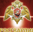 Начальник отделения учёта и комплектования Управления Росгвардии по Нижегородской области ответит на вопросы граждан в ходе «прямой телефонной линии» - Росгвардия
