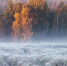 background - Kaluga-Poisk.Ru