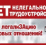 Нелегальная занятость: что это и чем грозит? - Министерство лесного хозяйства